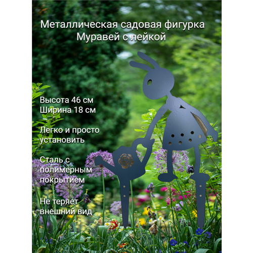 ������ ������ ������� ������ 