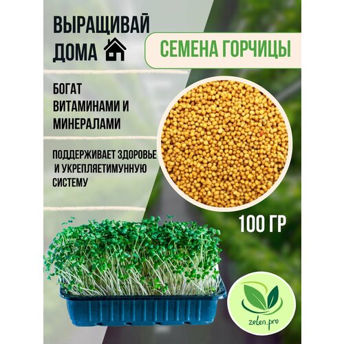 ������ ������ ������� �����������, ������� ������ ��� ������������ ����