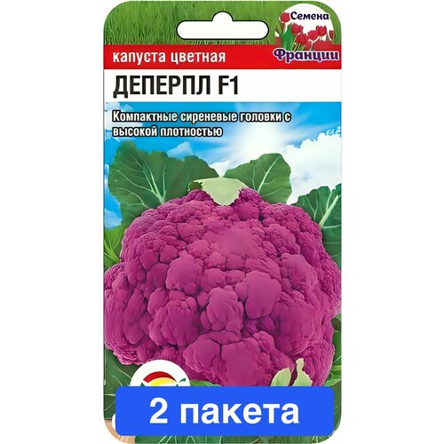 ������ ������ ������ ������ ��������� ��� 