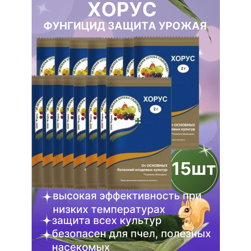 ������ ������ �������� ������ �������� �� �������� ����� 15 �� ����