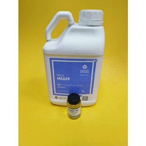 ������ ������ �������� ����� �� ����� �� ������ � ��������� 100 �� ����