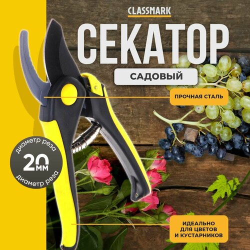    Classmark   , ,     ,  ,      -     , -,   