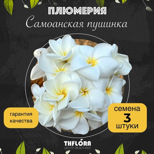 ������ ������ �������� 