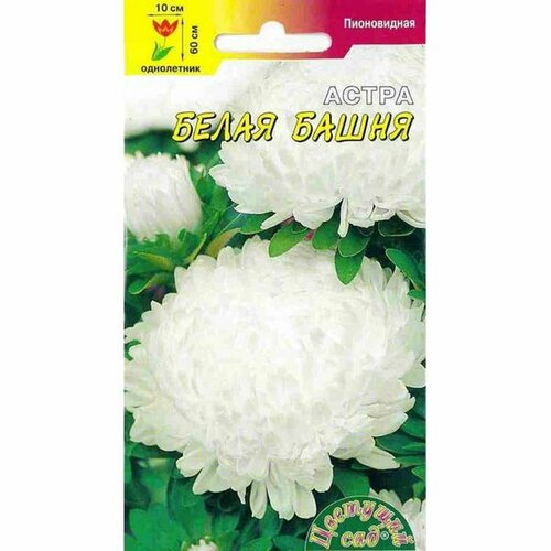 ������ ������ ������ ����� ����� �����, ����������, (�������� ���) 0,2� ����