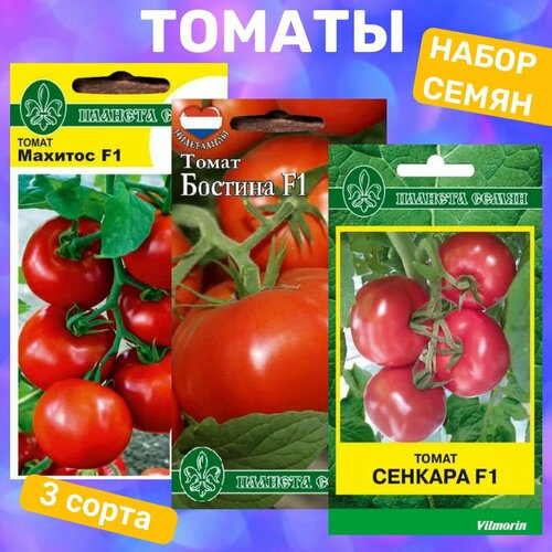 ������ ������ ����� ����� ������� / ������� F1, ������� F1, ������� F1 ����