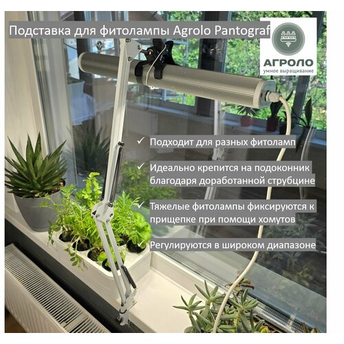 ������ ������ ��������� ��� ��������� ������ Pantograf, ������ ��� ��������������� ��� ������� � ������ ����