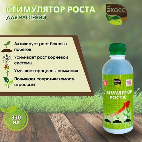 ������ ������ ���������� ����� ��� �������� � ������, 330 �� ����