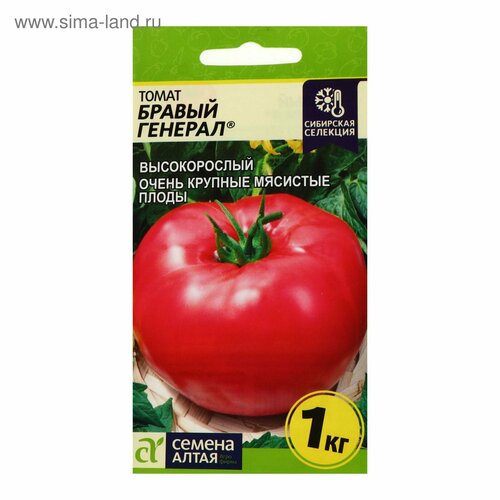 ������ ������ ������ ����� 