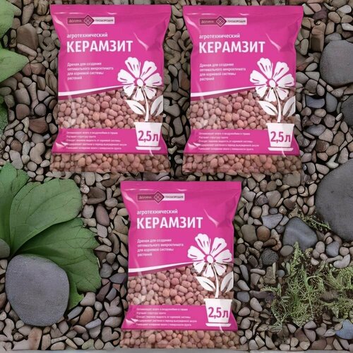 ������ ������ �������� ��������������� 2,5� / 3�� ������ ���������� ����