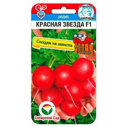 ������ ������ ����� ������� ������ ����