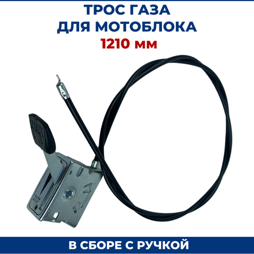 ������ ������ ���� ���� ��� ��������� 1210 ��, � ����� � ������ ����