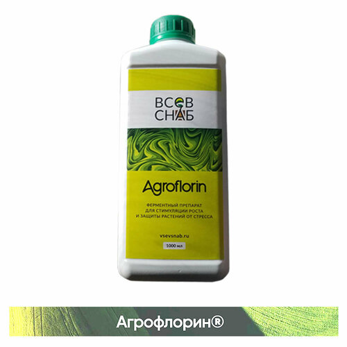 ������ ������ ����������. ���������� ������ ���������� �� ������ ������. 1�. ����