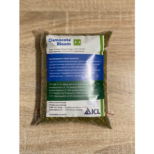 ������ ������ ��������� 1�� ������� ���� 2-3 ������, �������� (12-7-18+TE), ����������, ������ ������� ����