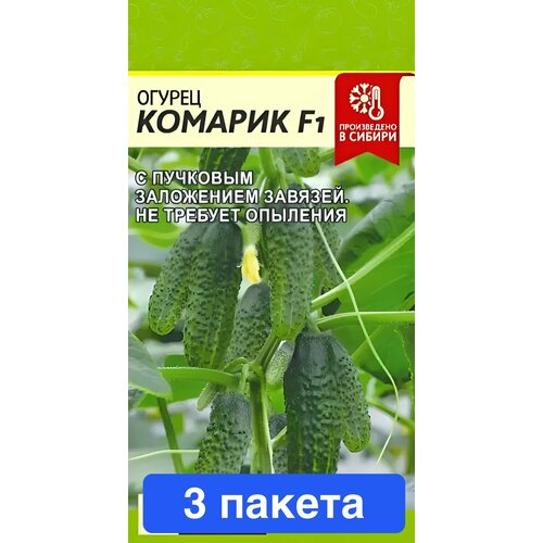 ������ ������ ������ ������ ������ ����� 