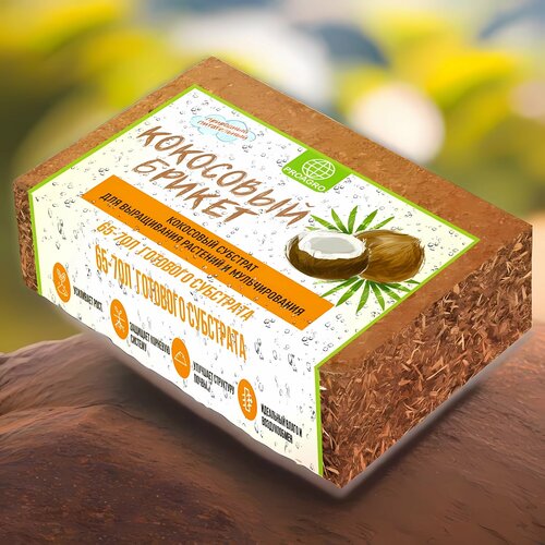 ������ ������ ��������� ������ PROAGRO 65-70� 5�� / 1�� ����