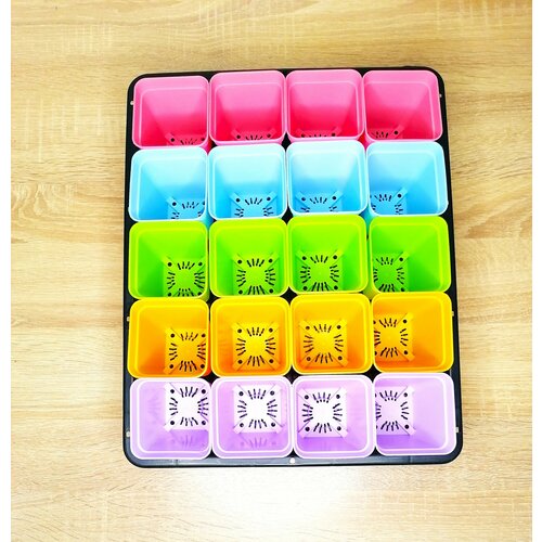 ������ ������ ����� ��� ������� ����