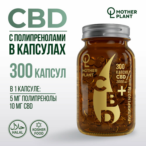 ������ ������ ����� CBD � ������������� � �������� (300 ������ �� 10 ��), Motherplant ����
