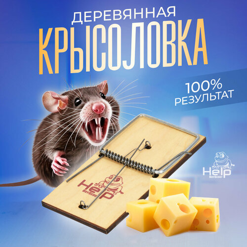 ������ ������ ��������� - ���������� ���������� /������/�� ��������/�����/����/�����������/������� 15,5*7,5 �� HELP ����