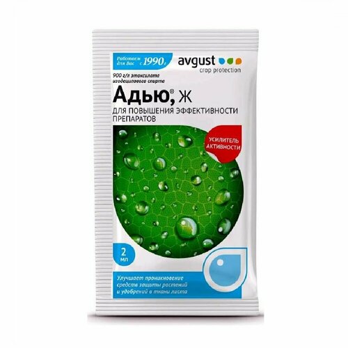 ������ ������ ���� ������ 2�� ����