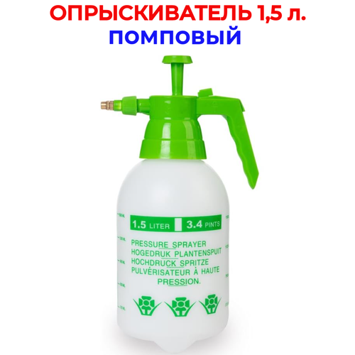 ������ ������ ������������� 