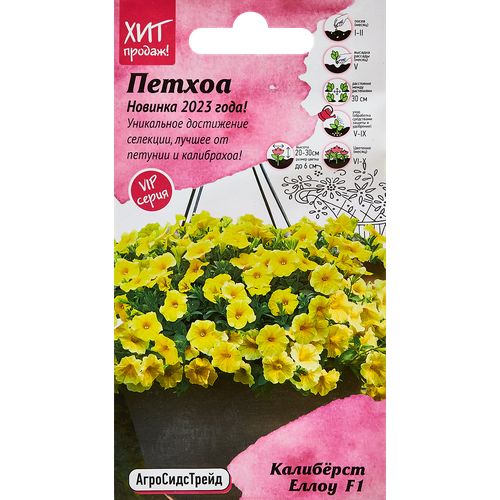 ������ ������ ������ ������ ������������� ������ �������� ����� ����