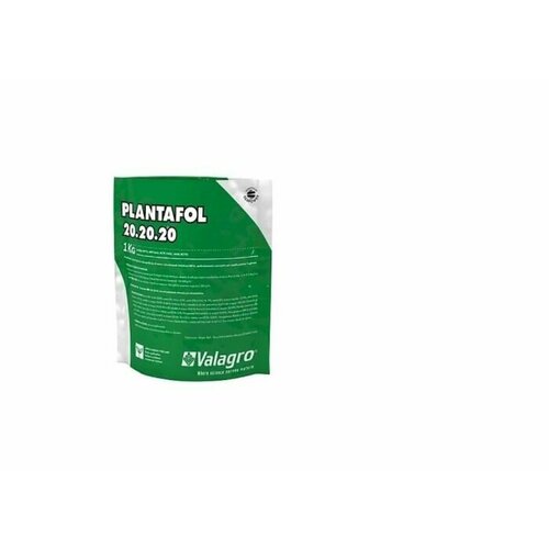 ������ ������ ��������� ��������� 20-20-20, 1�� ����