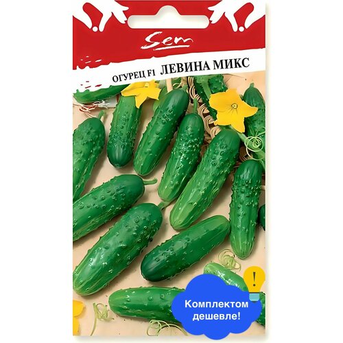 ������ ������ ������ ������ ������� ������ 