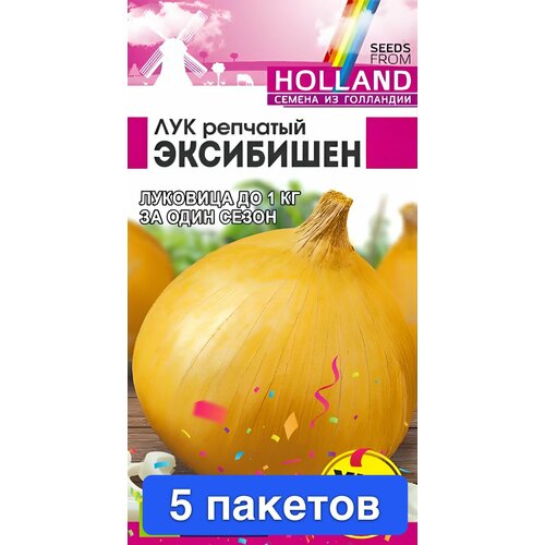 ������ ������ ������ ������ ������ ����� 