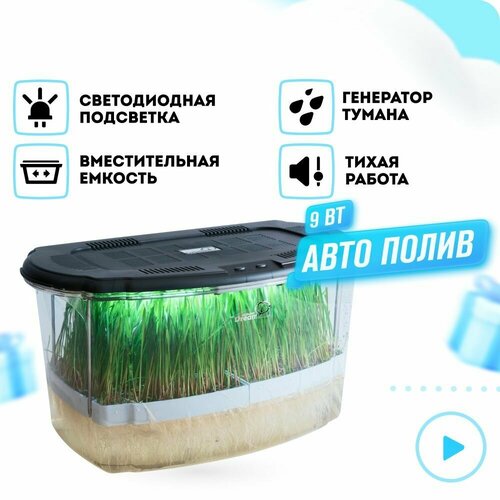 ������ ������ RAWMID ������������� Dream Sprouter SDM-02, ���������� ����