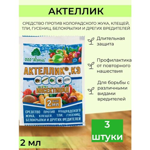 ������ ������ �������� ������ �������� �������� 3 �� ����