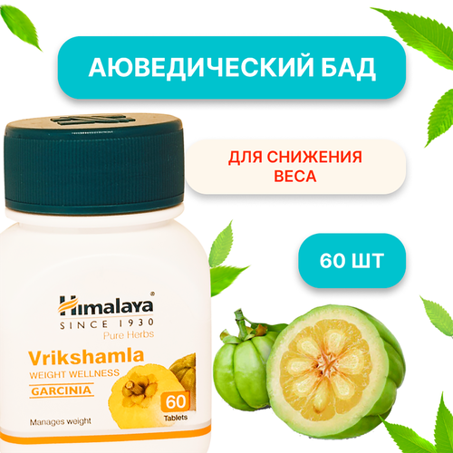 ������ ������ ������������� ������� ������� Himalaya Vrikshamla ��� �������� ����, 60 �������� ����
