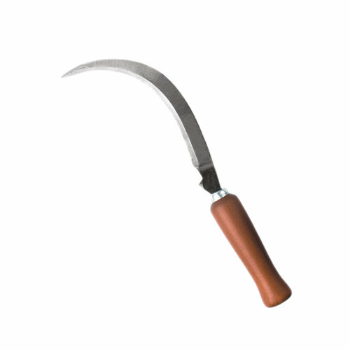 ������ ������ ���� ���� ������� 25, ������� ���������� ����