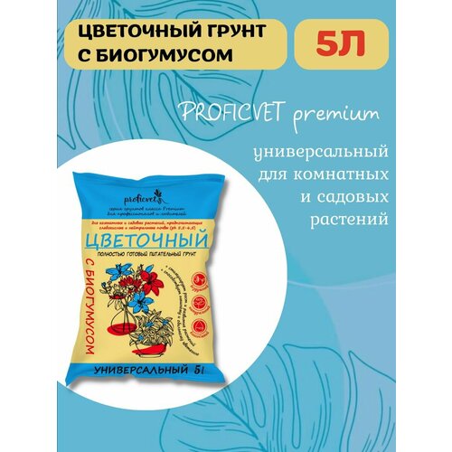 ������ ������ ����� ��������� 