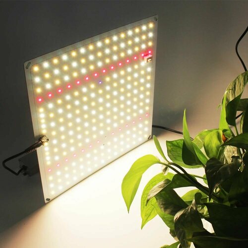 ������ ������ ��������� ������� ������� Samsung LM281B 65 ��/quantum board/ ������� ����/ ������ QBC 600 ����