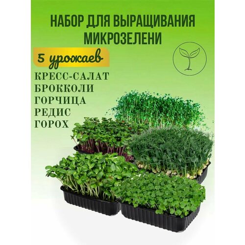 ������ ������ ����� ��� ����������� ����������� ����