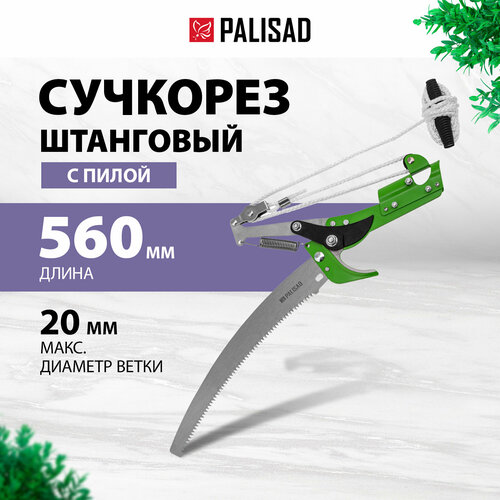   PALISAD 60593 560   -     , -,   