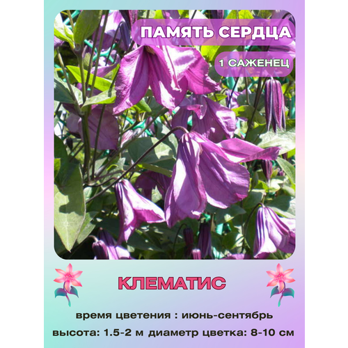 ������ ������ �������� ������ ������ ����