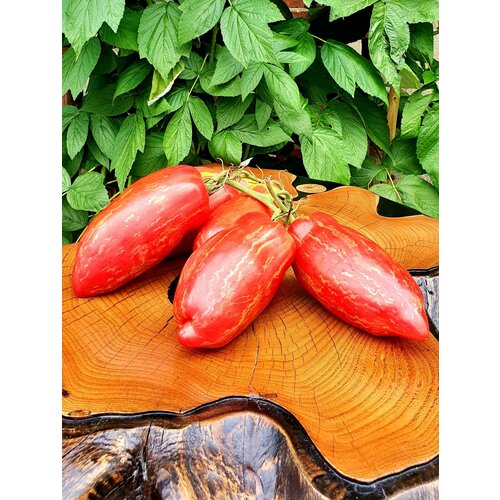 ������ ������ ������ ������ �������� ���� (Fuego Rosa) / Seeds And Goods / � �������� zip-lock ��� ���������� 10 ����� ����