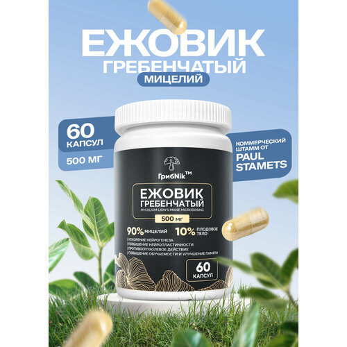 ������ ������ ������(������) ����������� ������� ����Nik - 500 �� � 60 ������ ����