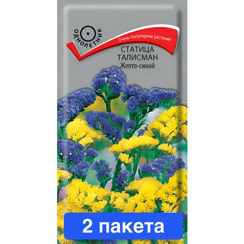 ������ ������ ����� ������� (���������) �������� �����-����� 2 ������ ����