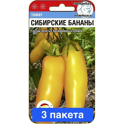 ������ ������ ������ ������ ��������� ��� 