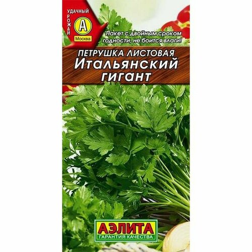 ������ ������ ������ �������� �������� ����������� ������ ��. (������) 2� ����