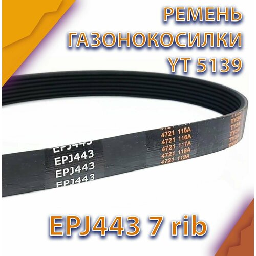     Technobelt EPJ443   -     , -,   