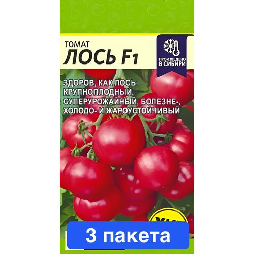 ������ ������ ������ ������ ������ ����� 