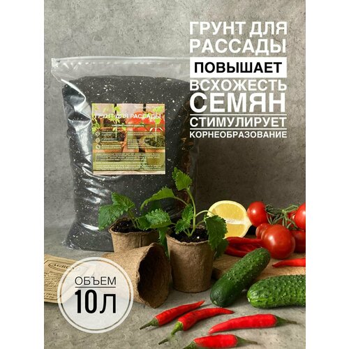 ������ ������ ����� ��� ������� 10 ������ � ���������� ������������� Terracotta Plants ����