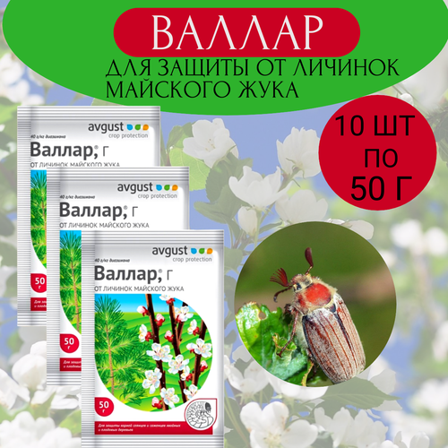 ������ ������ August ������ 50 �, 10�� ����