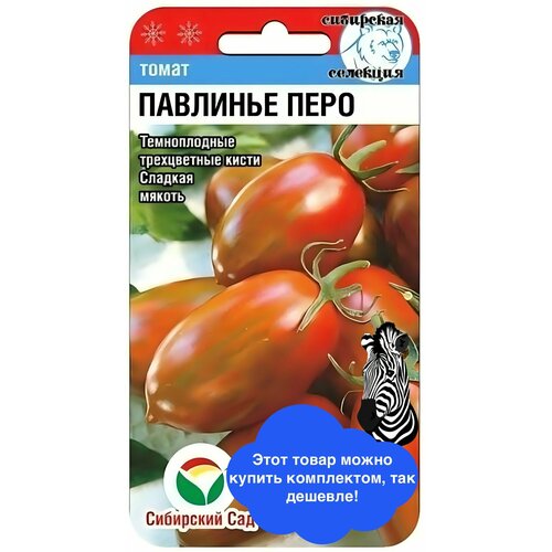 ������ ������ ������ ������ ��������� ��� 