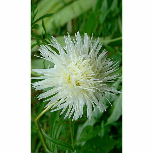 ������ ������ ������ ����� ����� ���������� �������� - �������������� ���� (��) �/� ����