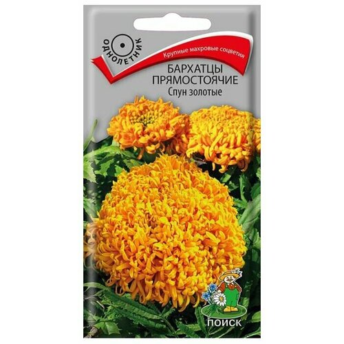 ������ ������ �������� ������������ ���� �������, 0,1�� (������). ��������� �����. ����