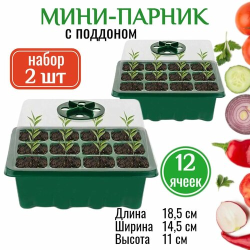 ������ ������ ����-������ ��� ������� �� ���������� - 2 ��. ������� ��� ����� ����� ����� ��� ����������� ������� ����